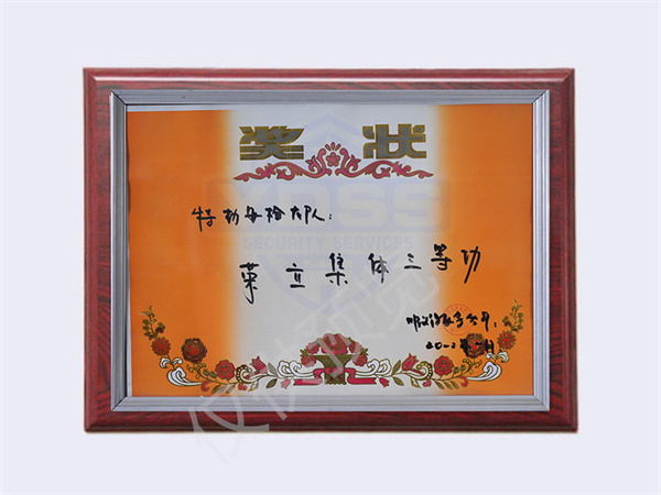 北京银盾保安服务有限公司荣获2012特勤安检大队颁发奖状